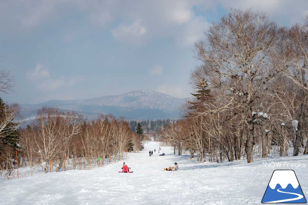 札幌国際スキー場｜さすが『KOKUSAI』！春シーズンも安泰の豊富な積雪で、まだまだ余裕で全面滑走可能です(^^)v